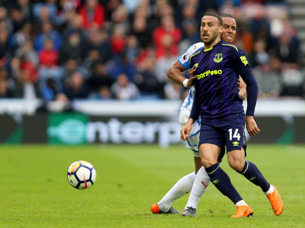 争性极强的 争性极强的