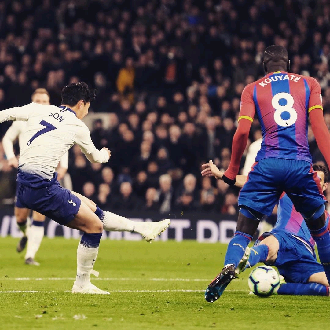 尽管输掉比 尽管输掉比