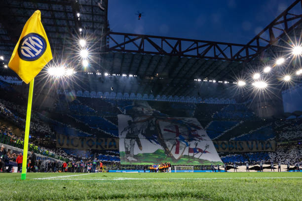 新晋最佳主 新晋最佳主